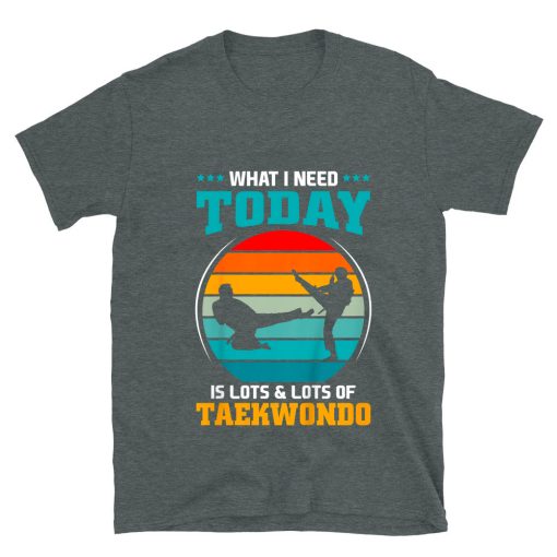 What I Need Today Is Lots And Lots Of Taekwondo T-shirt